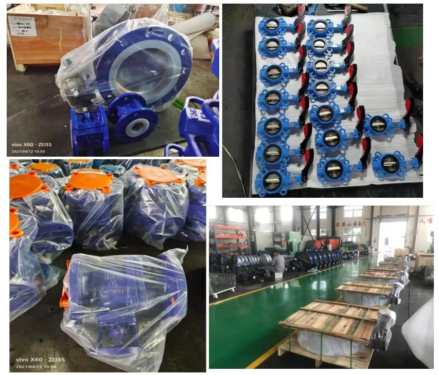 ANSI Standard Metal Tube Valve API Check Valve